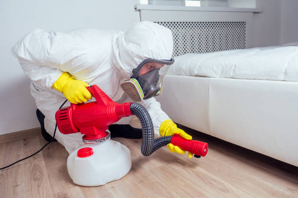 Best Local Pest Control Services  in Ocean View, DE