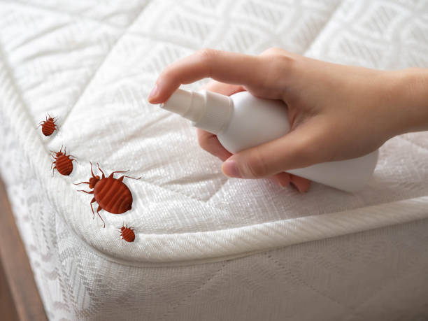Best Pest Removal Services  in Ocean View, DE