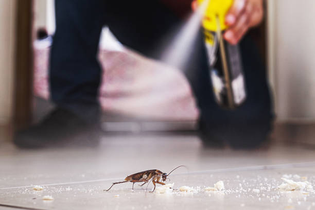 Best Pest Removal Services  in Ocean View, DE